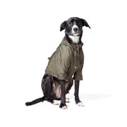 Roupa para cachorro Corta Vento Verde
